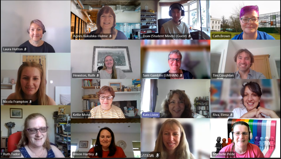 Screenshot of 15 smiling project members in a Teams call.